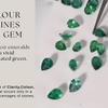 The Soul of the Emerald: Why Color, Clarity, and Life Define the Ultimate Gemstone