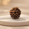 What is rudraksha? Meaning,Types,Benefits And how to wear it?