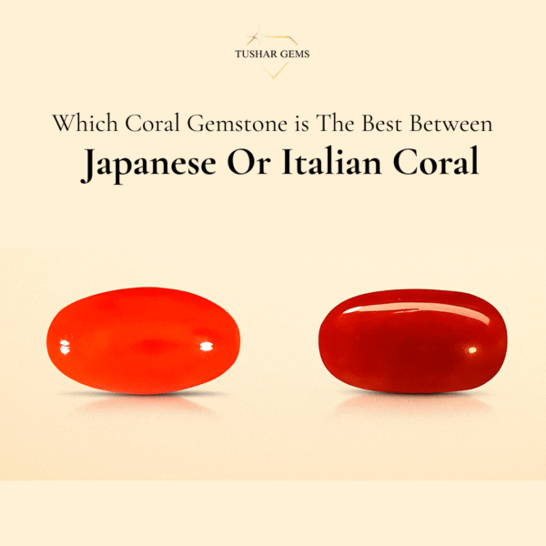 Italian vs Japanese Red Coral (Moonga) guide - Tushar Gems