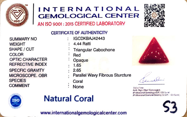 Natural Italian Red Coral | Certified Triangular Cabochon Moonga | Untreated Gemstone IGCDKBAJ42426 image 1