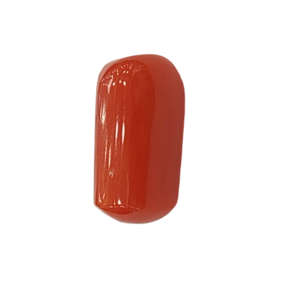 NaturalRed Coral | Certified| Capsule CutGemstone Summary No. IGCDKBAJ44927 image 1
