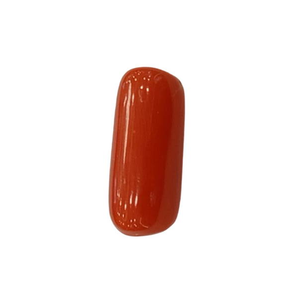 NaturalRed Coral | Certified| Capsule CutGemstone Summary No. IGCDKBAJ44980 image 1
