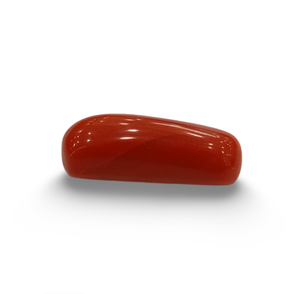 NaturalRed Coral | Certified| Capsule CutGemstone Summary No. IGCDKBAJ44861 image 0