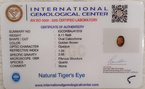 Tiger Eye The Essence of Grounding and Strength Summary No IGCDKBAJ41319 image 2