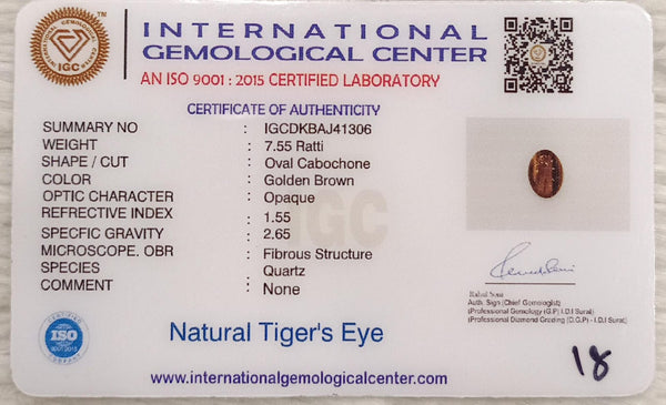 Tiger Eye The Essence of Grounding and Strength Summary No IGCDKBAJ41306 image 2