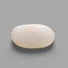 Natural White Coral (Safed Moonga) certified loose gemstone, report no. IGCDKBAJ41479