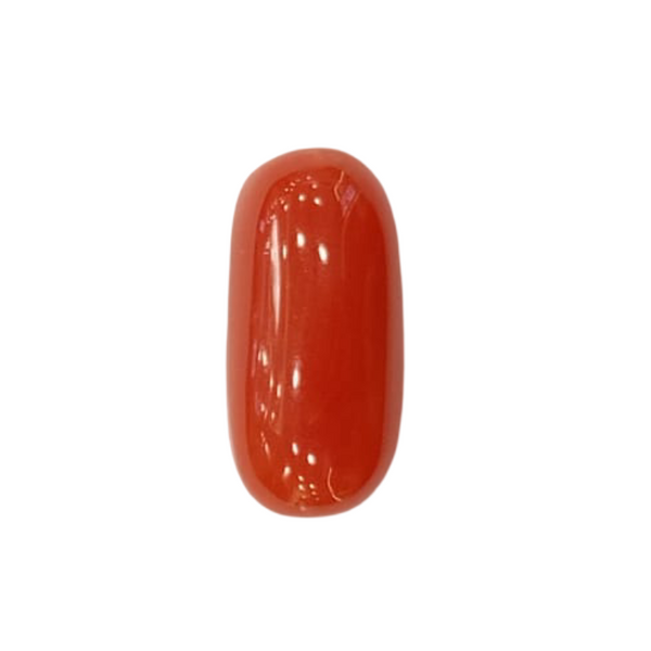 NaturalRed Coral | Certified| Oval CutGemstone Summary No. IGCDKBAJ44876 image 1