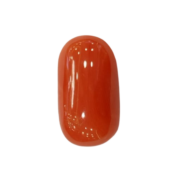NaturalRed Coral | Certified| Oval CutGemstone Summary No. IGCDKBAJ47488 image 1