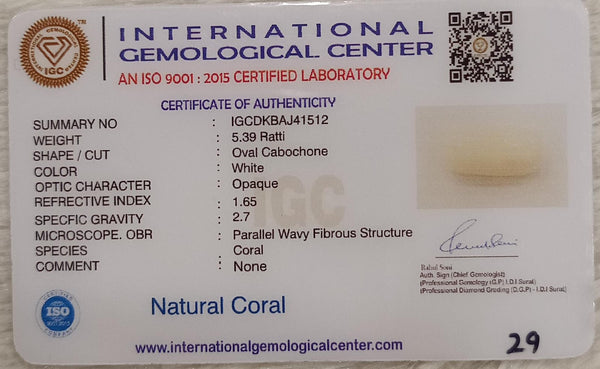 Natural White Coral: The Symbol of Peace and Strength Summary No IGCDKBAJ41512 image 2