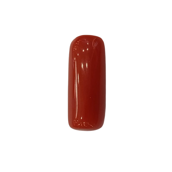 Natural Red Coral | Certified |Capsule Cut Gemstone Summary No. IGCDKBAJ44971 image 1