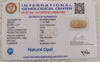 Natural White Opal 11.44 Ratti| Oval Cabochone | Certified No. IGCDKBAJ42940 image 2