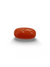 NaturalRed Coral | Certified| Oval CutGemstone Summary No. IGCDKBAJ44879 image 0