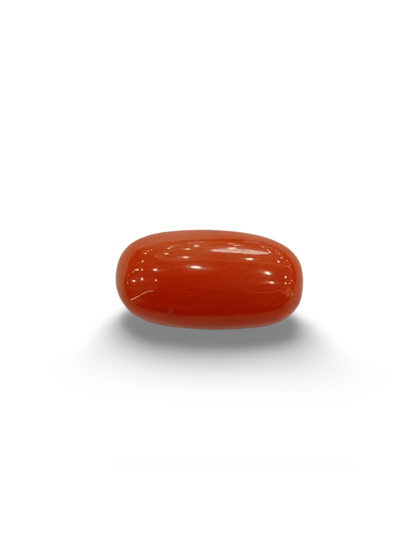 NaturalRed Coral | Certified| Oval CutGemstone Summary No. IGCDKBAJ44879 image 0