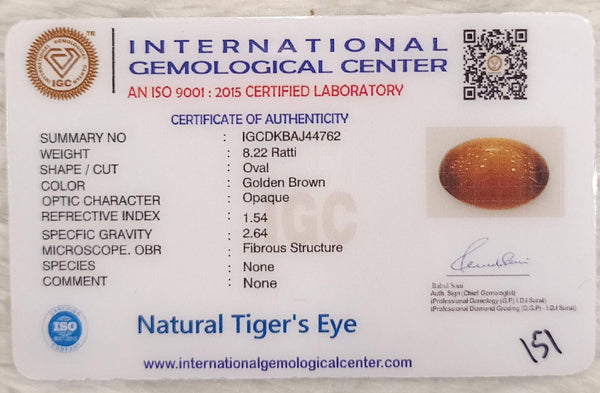 Tiger Eye The Essence of Grounding and Strength Summary No IGCDKBAJ44762 image 2