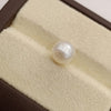 Natural South Sea Pearl – A Symbol of Elegance & Purity Summary No IGCDKBAJ42596 image 1