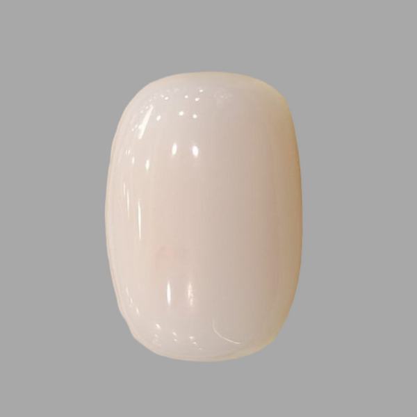 Natural White Coral: The Symbol of Peace and Strength Summary No IGCDKBAJ41492 image 1