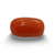 NaturalRed Coral | Certified| Oval CutGemstone Summary No. IGCDKBAJ44943 image 0