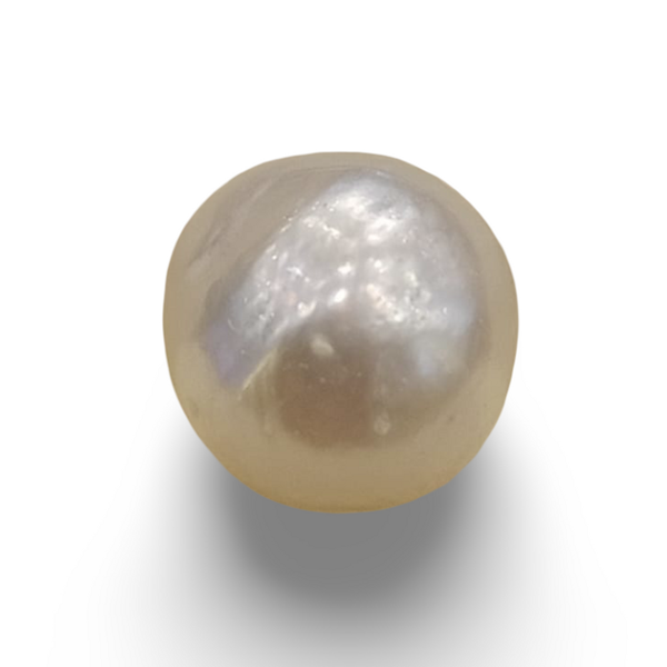 Natural South Sea Pearl (Moti) loose gemstone, IGC certified IGCDKBAJ42592