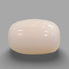Natural White Coral (Safed Moonga) certified loose gemstone, report no. IGCDKBAJ41492