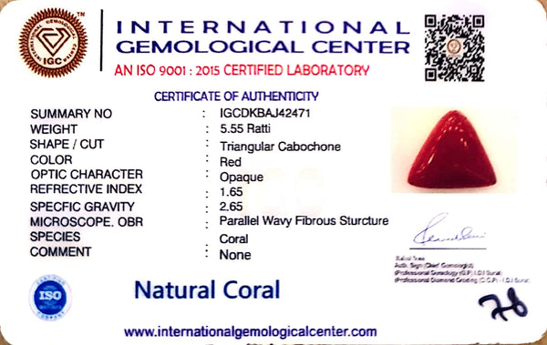 Natural Italian Red Coral | Certified Triangular Cabochon Moonga | Untreated Gemstone IGCDKBAJ42471 image 1