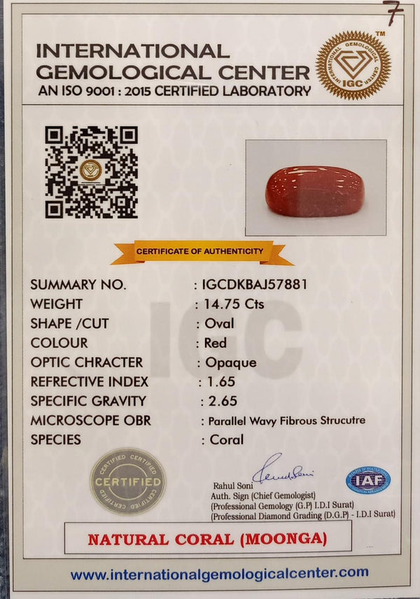 Natural Red Coral | Certified | Oval Cut Gemstone Summary No. IGCDKBAJ57881 image 2