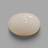 Natural White Coral (Safed Moonga) certified loose gemstone, report no. IGCDKBAJ41529