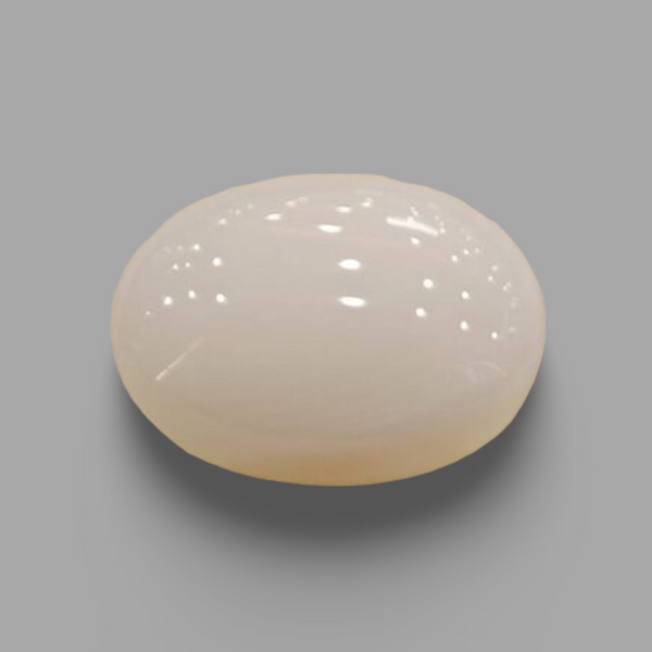 Natural White Coral: The Symbol of Peace and Strength Summary No IGCDKBAJ41529 image 0