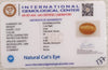 Natural Cat’s Eye: The Stone of Ketu for Protection and Spiritual Growth Summary No IGCDKBAJ44750 image 2