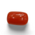 NaturalRed Coral | Certified| Capsule CutGemstone Summary No. IGCDKBAJ44911 image 0