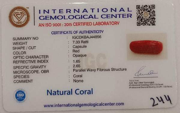 NaturalRed Coral | Certified| Capsule CutGemstone Summary No. IGCDKBAJ44856 image 2