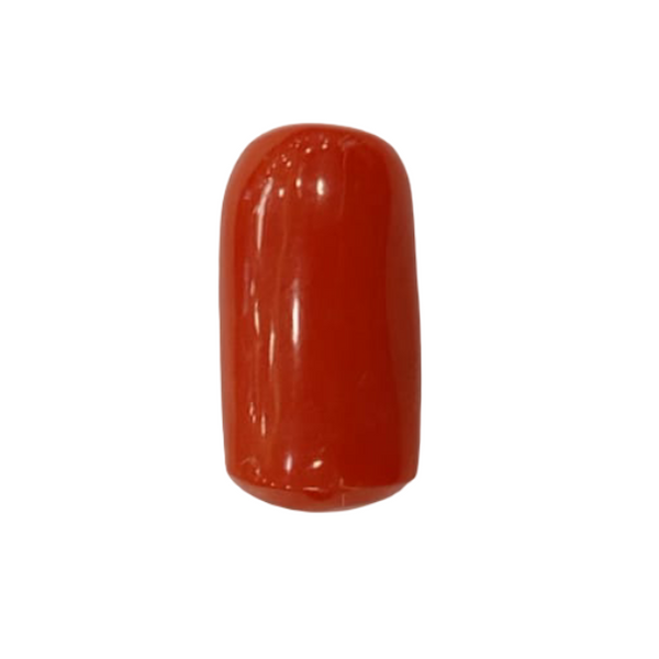 NaturalRed Coral | Certified| Oval CutGemstone Summary No. IGCDKBAJ44953 image 1