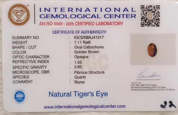 Tiger Eye The Essence of Grounding and Strength Summary No IGCDKBAJ41317 image 2