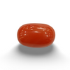 NaturalRed Coral | Certified| Oval CutGemstone Summary No. IGCDKBAJ44877 image 0