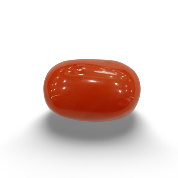 NaturalRed Coral | Certified| Oval CutGemstone Summary No. IGCDKBAJ44877 image 0