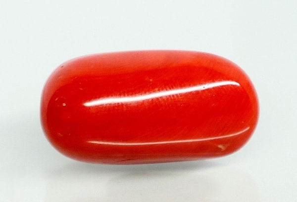 Natural Italian Red Coral (Moonga) oval cabochon, report no. 12992D53461