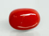 Natural Italian Red Coral (Moonga) oval cabochon, report no. 12992D53464