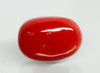 Natural Italian Red Coral (Moonga) oval cabochon, report no. 12992D53464