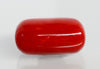 Natural Italian Red Coral (Moonga) cylindrical specimen, report no. 12992D53469
