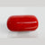 Natural Italian Red Coral (Moonga) cylindrical specimen, report no. 12992D53469