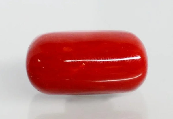Natural Italian Red Coral (Moonga) cylindrical specimen, report no. 12992D53469