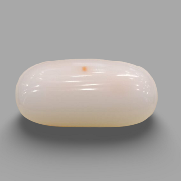 Natural White Coral (Safed Moonga) certified loose gemstone, report no. IGCDKBAJ44677