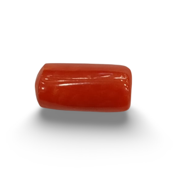 NaturalRed Coral | Certified| Capsule CutGemstone Summary No. IGCDKBAJ44899 image 0