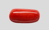 Natural Italian Red Coral (Moonga) cylindrical specimen, report no. 13486D55321