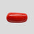 Natural Italian Red Coral (Moonga) cylindrical specimen, report no. 13486D55321