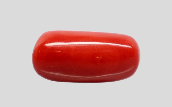Natural Italian Red Coral (Moonga) cylindrical specimen, report no. 13486D55321