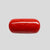 Natural Italian Red Coral (Moonga) cylindrical specimen, report no. 13486D55322