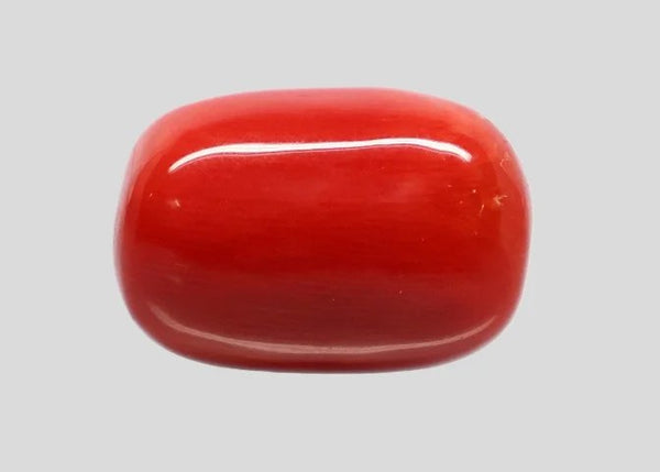 Natural Red Italian Coral 14H50 Cushion Cabochon - Report No. 13486D55323