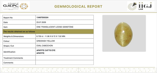 IIGJ Certificate 13487D55324 – Natural Cat's Eye