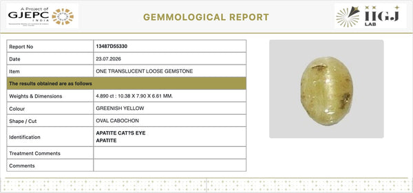 IIGJ Certificate 13487D55330 – Natural Cat's Eye