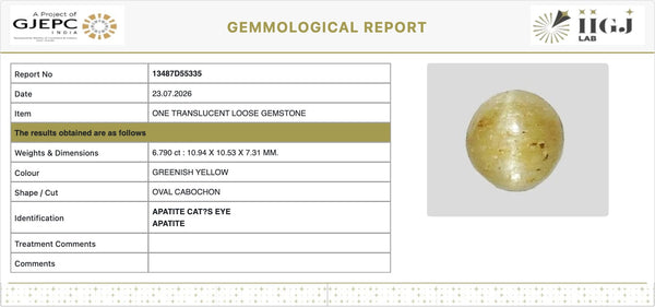 IIGJ Certificate 13487D55335 – Natural Cat's Eye